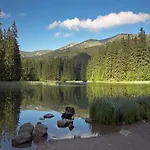 Minata *