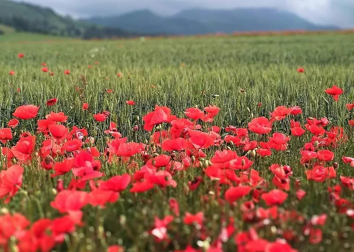 Minata * Liptovský Mikuláš